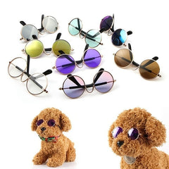 Chic Pet Glasses for Your Stylish Cat or Puppy