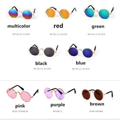 Chic Pet Glasses for Your Stylish Cat or Puppy