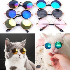 Chic Pet Glasses for Your Stylish Cat or Puppy