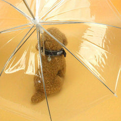Transparent Pet Umbrella With Chains Dog Puppy Umbrella Leash