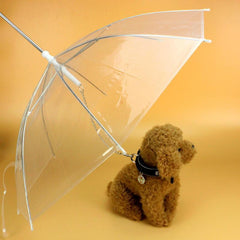 Transparent Pet Umbrella With Chains Dog Puppy Umbrella Leash