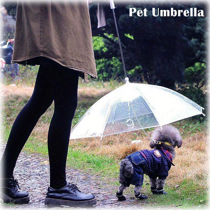 Transparent Pet Umbrella With Chains Dog Puppy Umbrella Leash