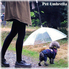 Transparent Pet Umbrella With Chains Dog Puppy Umbrella Leash