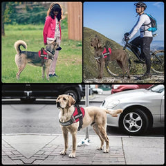 Explosion proof Reflective Dog Harness for Outdoor Walking