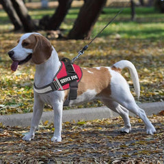 Explosion proof Reflective Dog Harness for Outdoor Walking