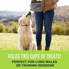 Dog Treats Pouch Pet Training Bag Portable Pet Waist Bag