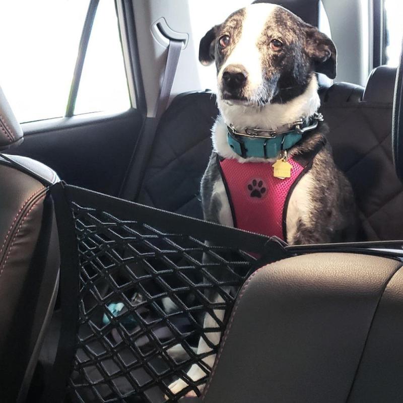 Dog Car Seat Isolation Net Car Anti-wrestling Pet Supplies
