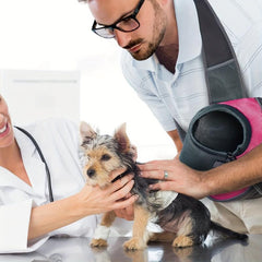 Breathable Reflective Pet Sling Carrier Hand Puppy Cat Bag