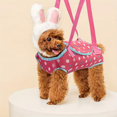 Portable Breathable Small Dog Backpack Pet Dog Carrier