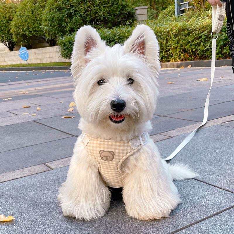 Plaid Bear Dog Vehicle Harness, Chest Strap