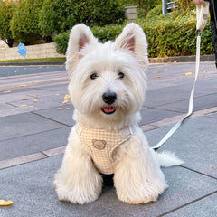 Plaid Bear Dog Vehicle Harness, Chest Strap