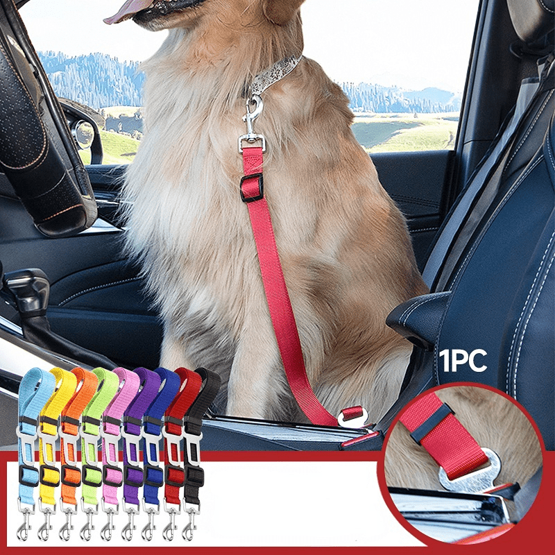 Adjustable Pet Seat Belt & Leash Set for Pet Safety On the Go