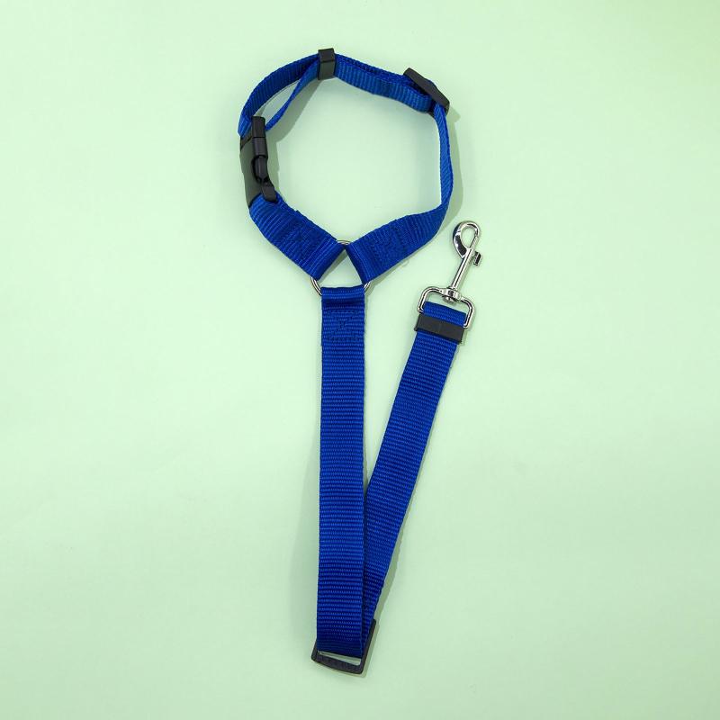 Adjustable Car Seat Belt for Pets Keeps Furry Friends Secure
