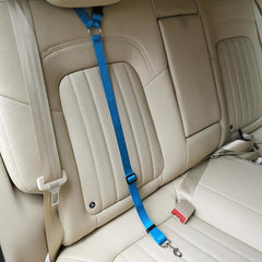 Adjustable Car Seat Belt for Pets Keeps Furry Friends Secure