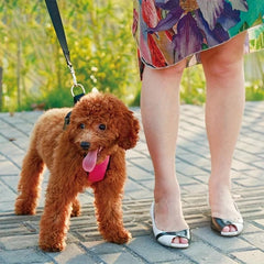 Durable Pet Dog Car Safety Harness Chest Harness