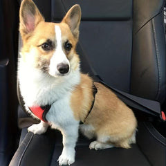 Durable Pet Dog Car Safety Harness Chest Harness