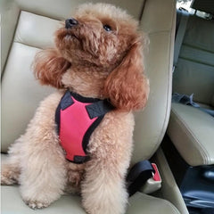 Durable Pet Dog Car Safety Harness Chest Harness
