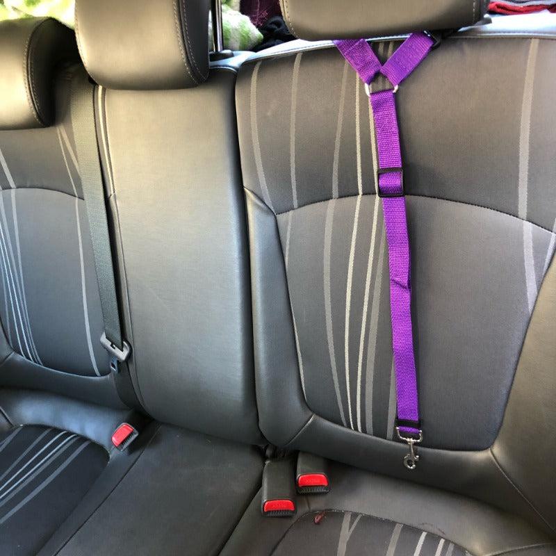 Pet Car Seat Belt Nylon Lead Leash Safety Harness Collar