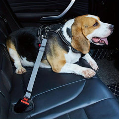 Adjustable Pet Car Safety Belt Dog Seat Belt