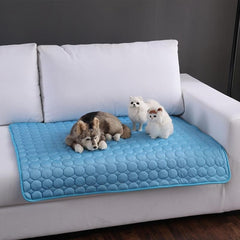 Pet Cooling Pad: Keep Your Dog Cool This Summer