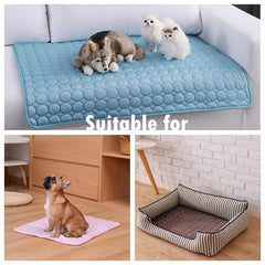 Pet Cooling Pad: Keep Your Dog Cool This Summer
