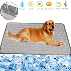 Pet Cooling Pad: Keep Your Dog Cool This Summer