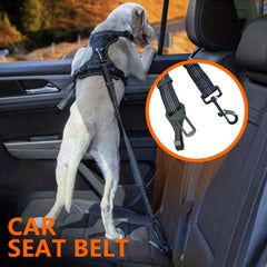 Adjustable Pet Seatbelt with Retractable Car Seat Belt