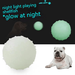 Glow TPR Dog Toy for Teeth Cleaning & Play