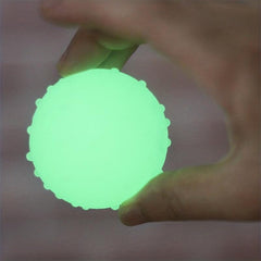 Glow TPR Dog Toy for Teeth Cleaning & Play