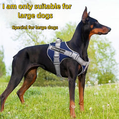 Reflective No Pull Dog Harness Set for Small Medium Puppy Dogs