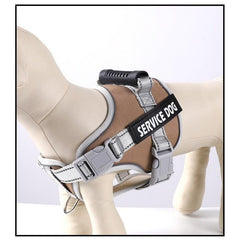 Reflective No Pull Dog Harness Set for Small Medium Puppy Dogs