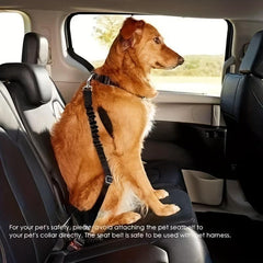 Car Dog Seat Belt Reflective Pet Safety Leads Retractable Cat Dog Seat Belt