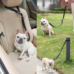 Adjustable Pet Dog Cat Seat Belt Leash Car Leash Pet Supplies