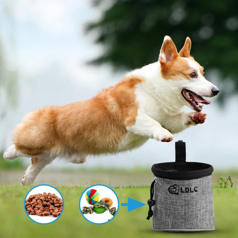 Large Capacity Dog Treat Bag with Adjustable Belt