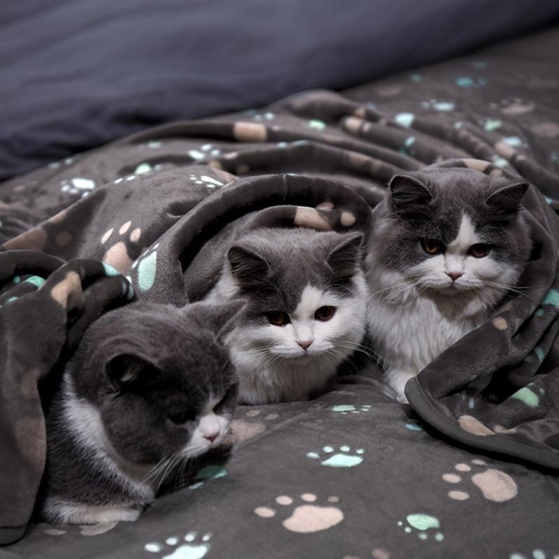 Soft Grey Paw Print Fleece Pet Blanket for Dogs