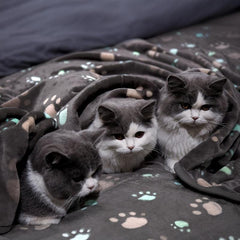 Soft Grey Paw Print Fleece Pet Blanket for Dogs