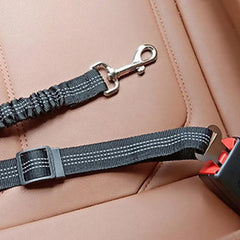 Reflective Elastic Pet Seat Belt for Car Safety and Comfort