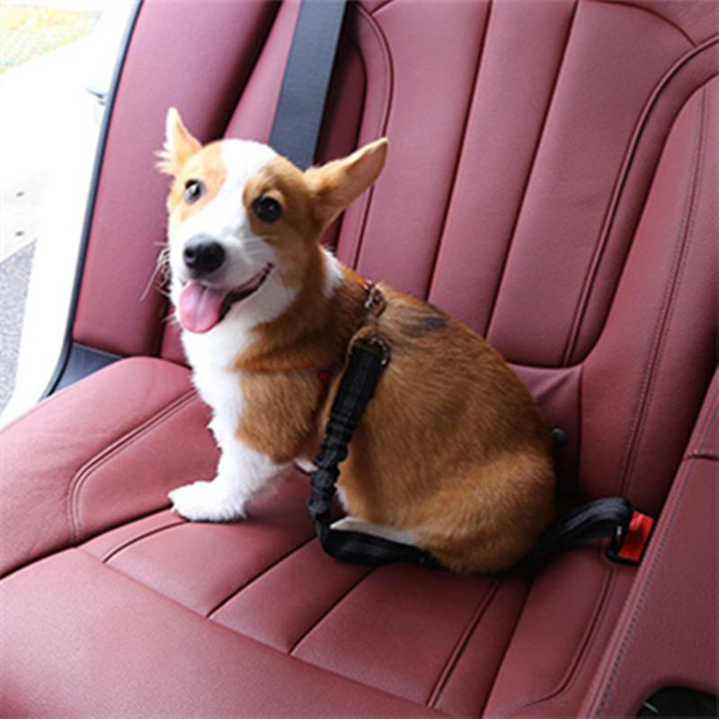 Reflective Elastic Pet Seat Belt for Car Safety and Comfort