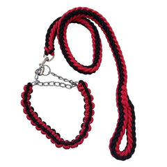 Nylon 8-Strand Braided Dog Leash & Collar Set for Large Dogs