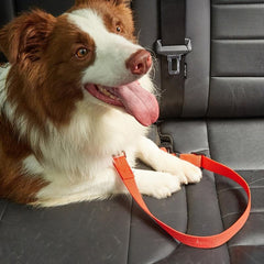 Adjustable Dog Car Safety Belt, Secure Your Pet During Rides
