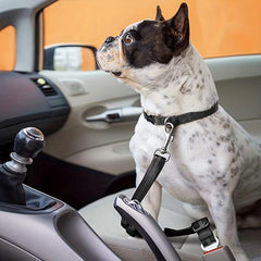 Reflective Dog Seat Belt Elastic Pet Car Safety Rope