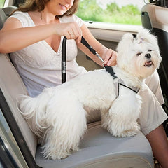 Reflective Dog Seat Belt Elastic Pet Car Safety Rope