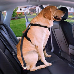 Reflective Dog Seat Belt Elastic Pet Car Safety Rope