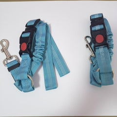 Adjustable Pet Seat Belt for Safe Travel in Vehicles
