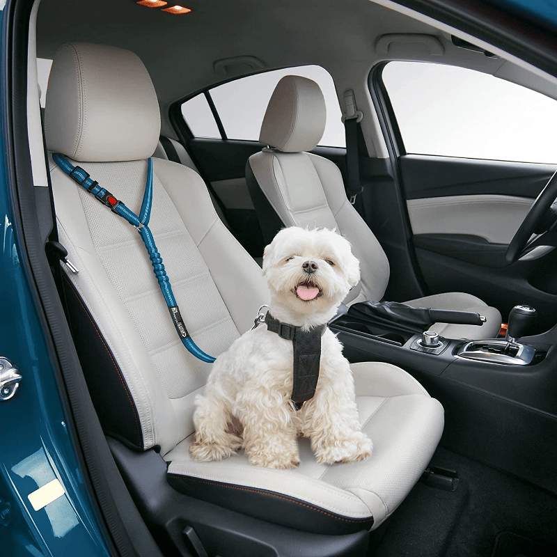 Adjustable Pet Seat Belt for Safe Travel in Vehicles