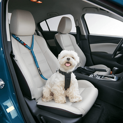 Adjustable Pet Seat Belt for Safe Travel in Vehicles