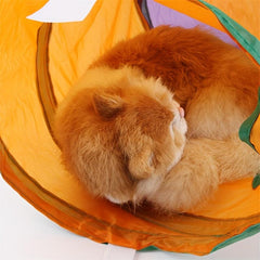L Shape Cat Tunnel Foldable Rainbow Cat Toy Indoor Outdoor Portable Pet Toy