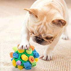 Pet Interactive Sniffing Toy Squeaky Toy for Training Teeth Cleaning