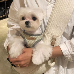 Dog Sling Carrier Hands-Free Pet Bag for Outdoor Travel