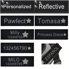 Star Pattern Reflective Letter Dog Harness with Custom Leather Label